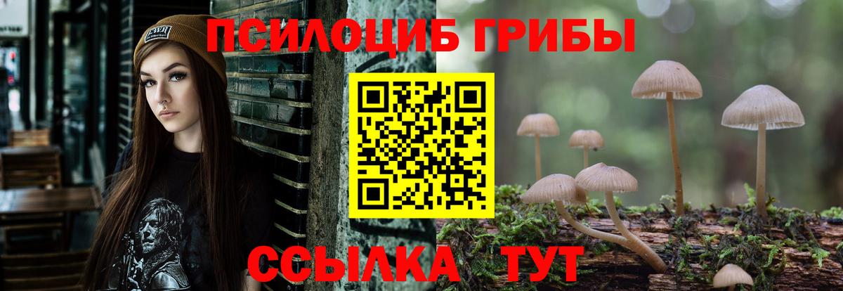 купить   Вход с VPN  Россошь  Псилоцибиновые грибы мухоморы 